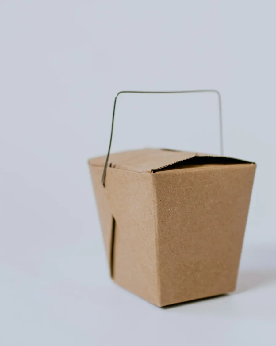 Takeaway-Box aus Kraftpapier mit Henkel